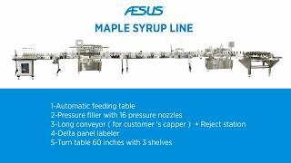 AESUS MAPLE SYRUP_update 2024