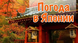 Погода в Японии. Когда Лучше Ехать в Японию