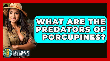 What Are The Predators Of Porcupines? - Ecosystem Essentials