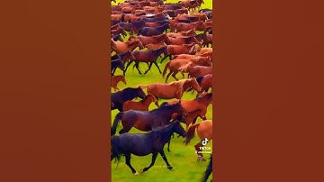 سورة الواقعة #سورة_الواقعة #اكسبلور #صوت #ايقنت #دويتو #المصحف #لايك #مريم_البدوية
