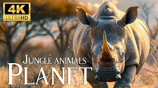 Our Planet | 4K African Wildlife - Great Migration from the Serengeti to the Maasai Mara, Kenya