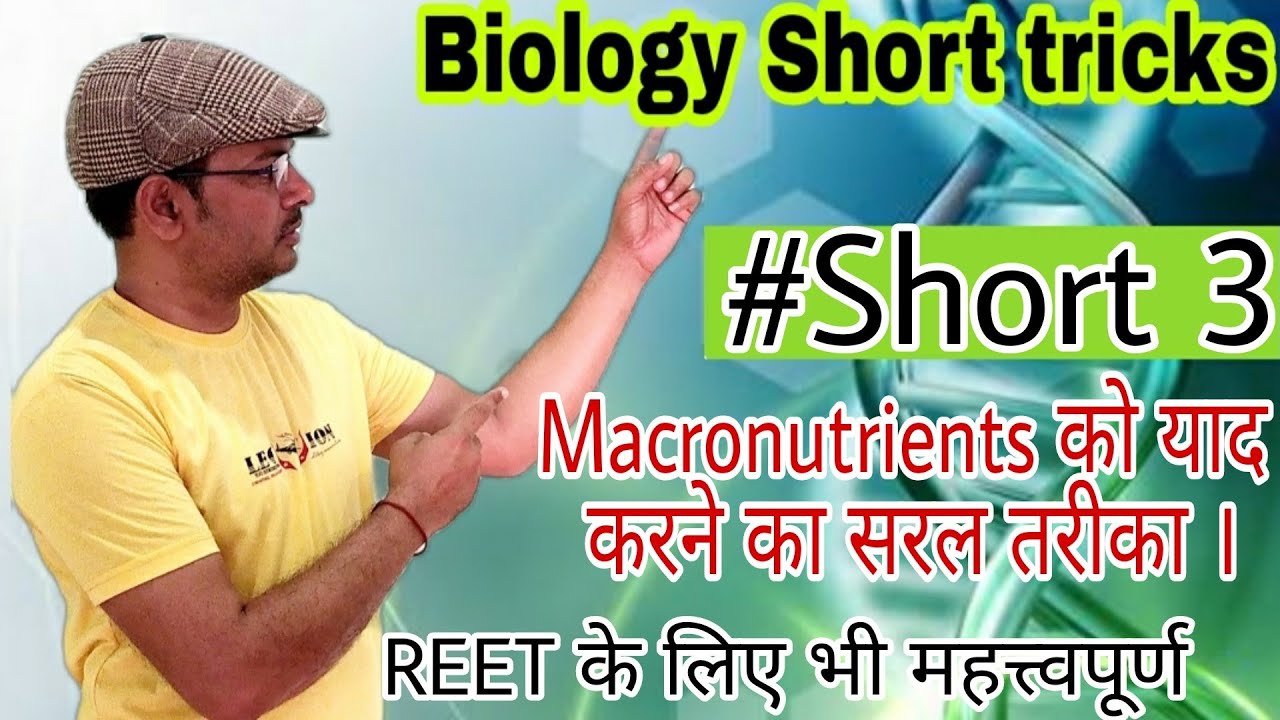 Macronutrient । examples of macronutrient