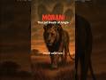 Morani – Scarface का भाई और आखिरी Musketeer #shorts #animals #lion #facts