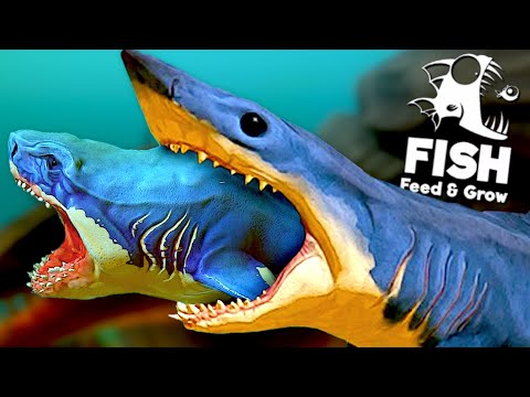 DEV MEGALODON vs Btraenn  - Feed and Grow: Fish TÜRKÇE