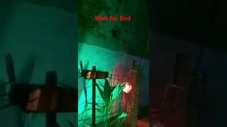 My Garden | Smart Garden #shorts #short #viral #trending #youtubeshorts #garden #vlogs #Aryan19Vlogs