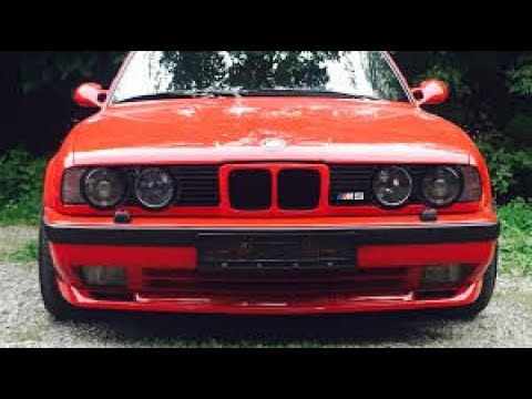 ბებერი მგელი