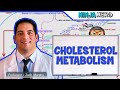 Metabolism Cholesterol Metabolism 