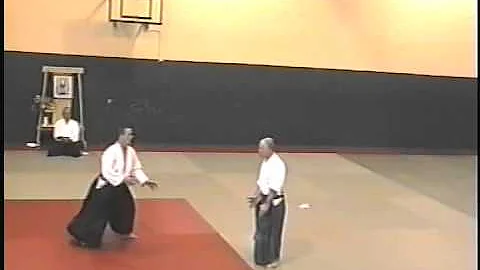 Best Aikido Demonstration