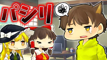 ぽこにゃん パシリ