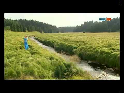 Astrid Harzbecker - Lass den Sommer in dein Herz