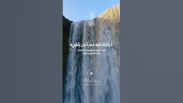 #بسم_الله_الرحمن_الرحيم #آيات #قرآن #راحة_نفسية #ترند #لايك #اكسبلور