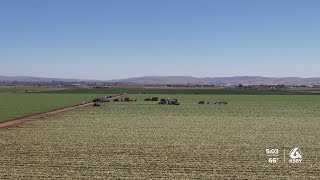 Report highlights farmworker wage struggles