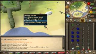 Herblore Habitat collection complete