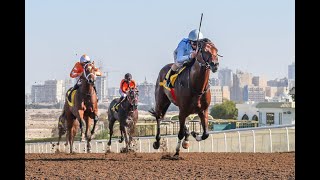 Jebel Ali 22.01.21 Race 3 screenshot 4