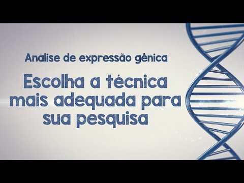 Vídeo: Gen Dogma Y: Pet Parenting para uma nova geração