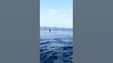 تلاوة قرانيه تريح القلب والنفس من سورة إبراهيم #title #abdelhalimhafez #religion #poetry #title