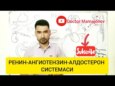 Ренин-Ангиотензин-Алдостерон системаси ҳақида умумий тушунча