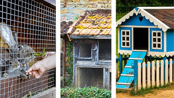 Building the Perfect Rabbit Hutch - Ideas, Designs, and Setup