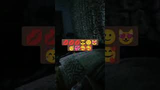 Download Lagu 11 December 2022 MP3