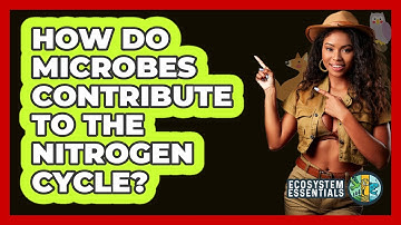 How Do Microbes Contribute to the Nitrogen Cycle?