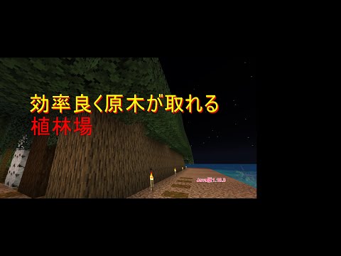 【Minecraft】原木が効率よく取れる植林場の作り方【JAVA版】