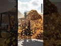 Forklift Autumn! #forklift #autumn #shortvideo #shorts