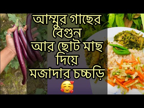 আম্মুর গাছের বেগুন আর ছোট মাছ দিয়ে মজাদার চচ্চড়ি 🥰|| Anonna Tonni's Diary