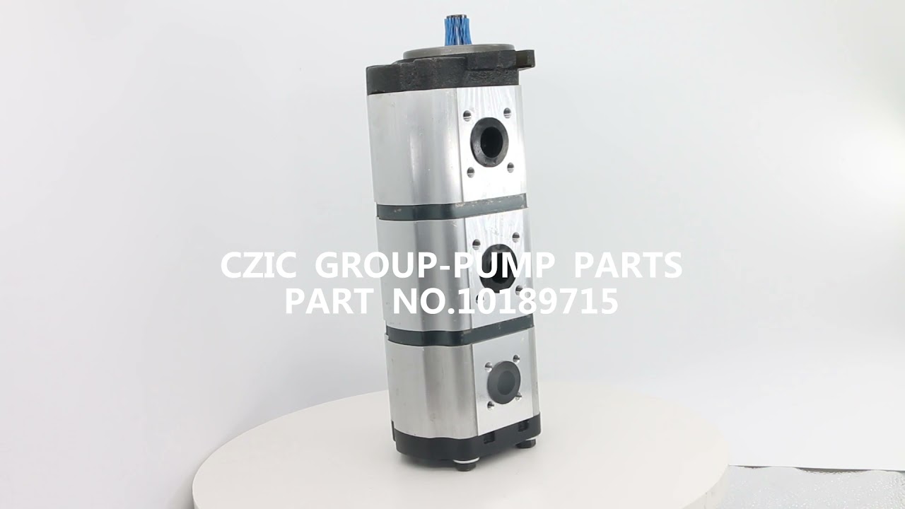 Schwing Fixed Displacement Pump 31+31+11 OEM 10189715