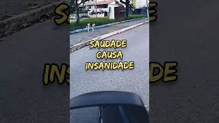 SAUDADE CAUSA INSANIDADE
