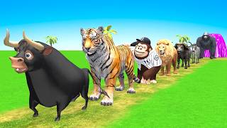 Giant Animal Slide Competition | Cow Hippo Tiger Gorilla Elephant 3D Fun Race 3D Animal Game screenshot 2