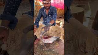 GOBIA FISH ? KASIMEDU MURUGAN FISH CUTTING SKILLS fishcuttingskills