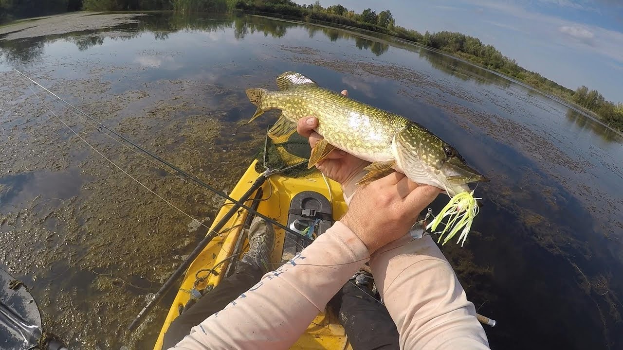 New Storm Gomoku spinnerbait - YouTube