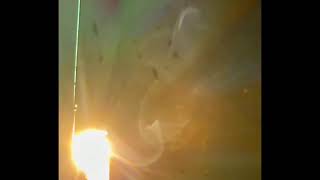 Plasmoid Ions Dance Effortlessly in the Electric Field