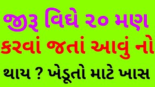 વીઘે ૨૦ મણ જીરૂનું ઉત્પાદન લેવાં આવું કરાય કે નો કરાય  Jeera. Jira. જીરૂ. જીરું. જીરૂની ખેતી.cumin