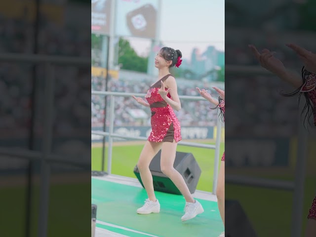 2026 SSG랜더스 허수미 치어리더 직캠  공연