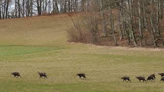 151271 800360244 medium