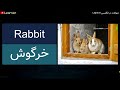     1  لغات حیوانات در زبان انگلیسی