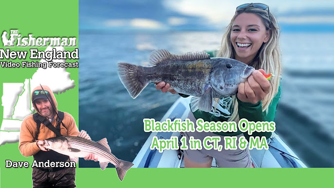 New England's Weekly Fishing Report 