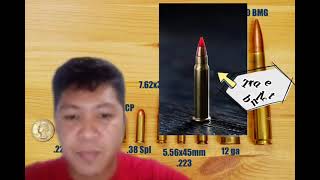 Projectile in Forensic Ballistic