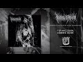 Reverence to paroxysm  cadaveric continuity of unreal perspectives official track