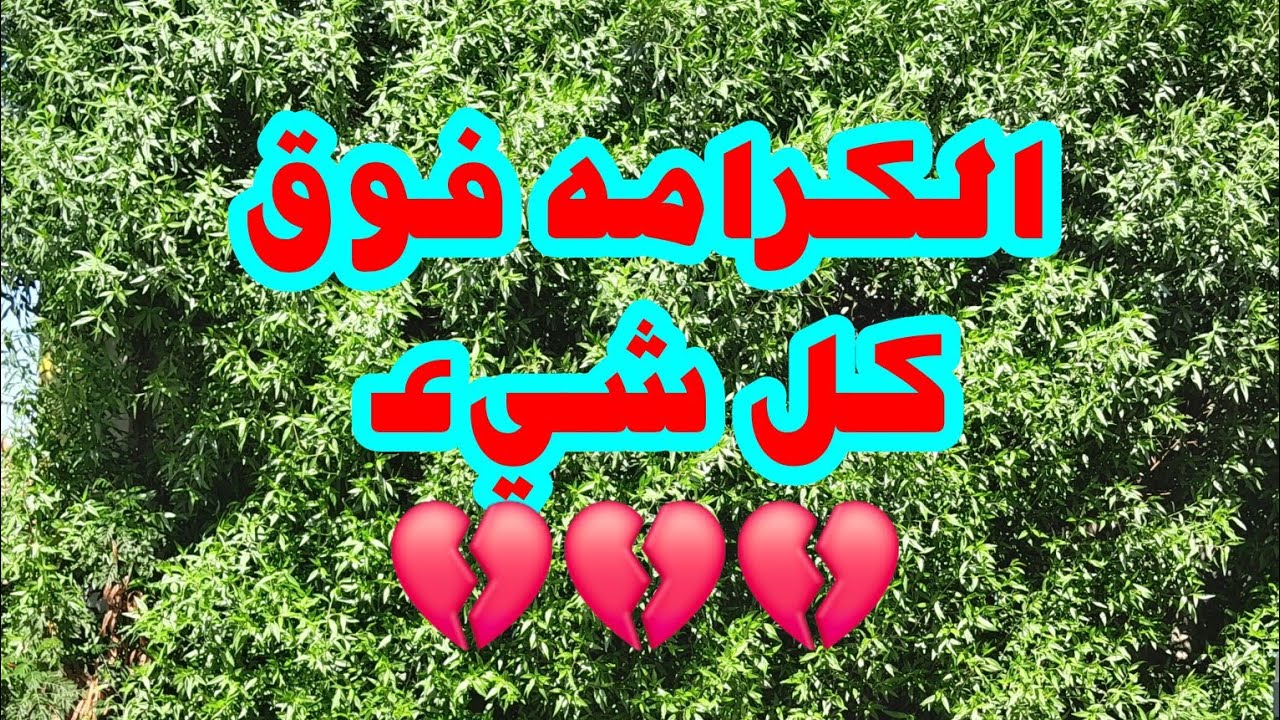 الكرامه فوق كل شيء  💔💔💔