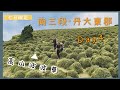 南三段．Day4 | 童話世界的幸福早晨、療癒高山波波草原、可樂可樂安山