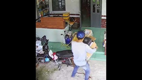 Muôn ngàn giấc mơ chỉ có đái dầm là thành thật