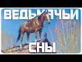 ВЕДЬМАЧЬИ СНЫ