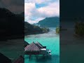 The ultimate tropical vacation bora bora french polynesia  ig aureelvisuals shorts