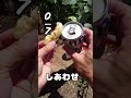 生くじ２【検証】