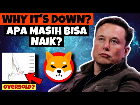 BURNING SHIBA TERBESAR DI 2022 SUDAH READY, APAKAH BISA MENDUKUNG SHIBA NAIK LAGI?? #shibainu