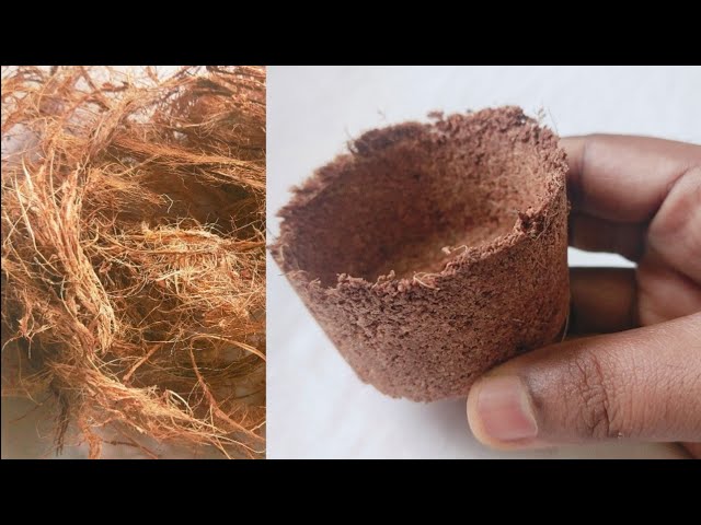 DIY How To Make Cocopeat Pot At Home | DIY Easy Coco Fibre Flower Pot | EcoFriendly Coir Pot .