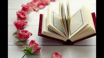 95. سورة التين - حدر - ياسر سلامة