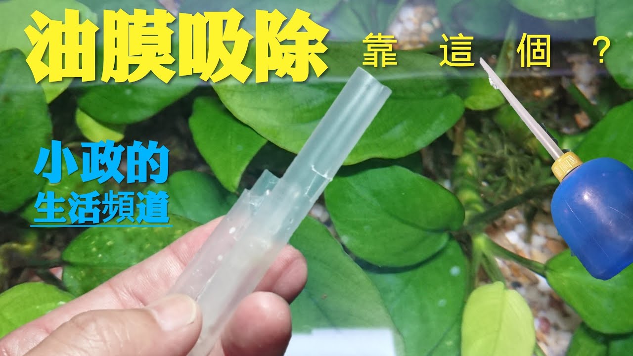 除油膜吸水口惱人的魚缸油膜使用珍奶吸管diy Youtube